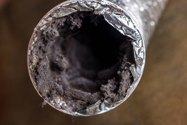Best Affordable HVAC Duct Cleaning  in Dunkirk, IN